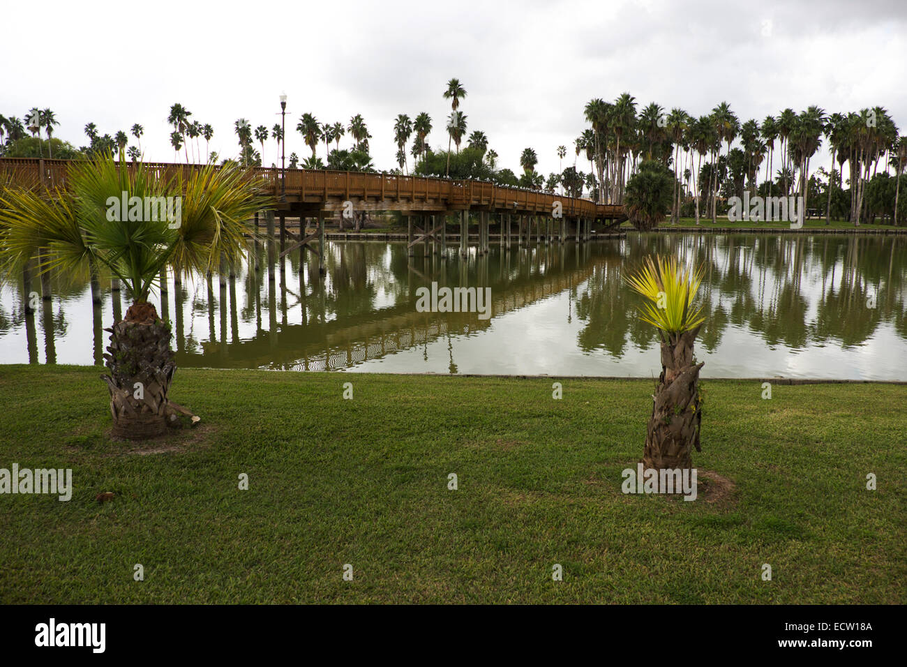 Passerella in legno che attraversa una resaca presso l'Università del Texas a Brownsville. Foto Stock