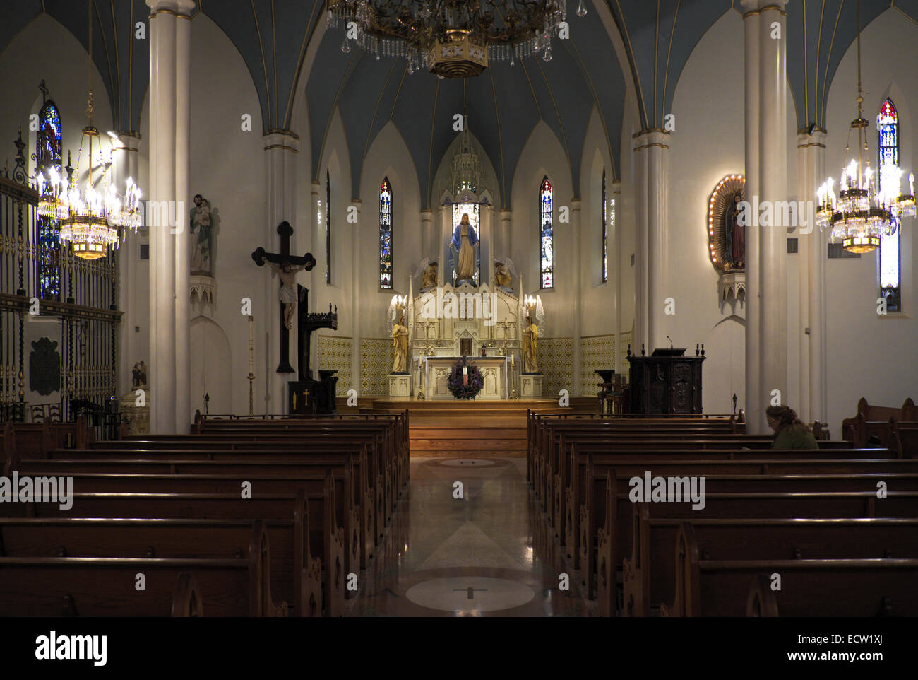 Interno della cattedrale dell Immacolata Concezione che mostra la modifica principale e le finestre di vetro macchiate con decorazioni di Natale. Il Foto Stock