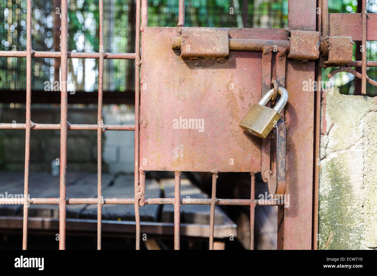 Gabbia in acciaio la porta era chiusa a chiave. Il problema illegale del commercio di specie selvatiche Foto Stock