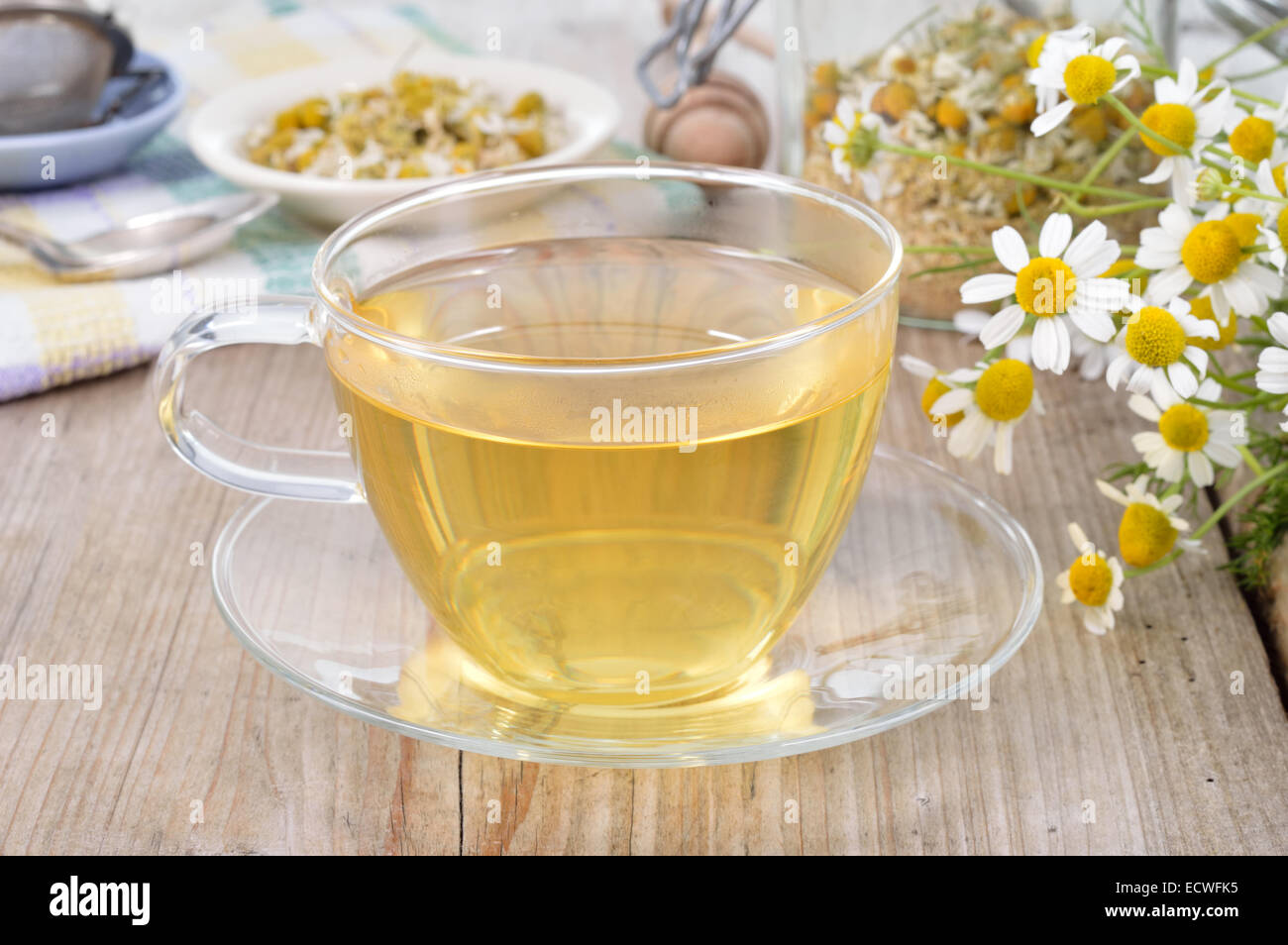 Tazza di erbe tè camomilla su un tavolo di legno. La camomilla tè in una coppa trasparente e camomilla fiori su un tavolo di legno. T a base di erbe Foto Stock