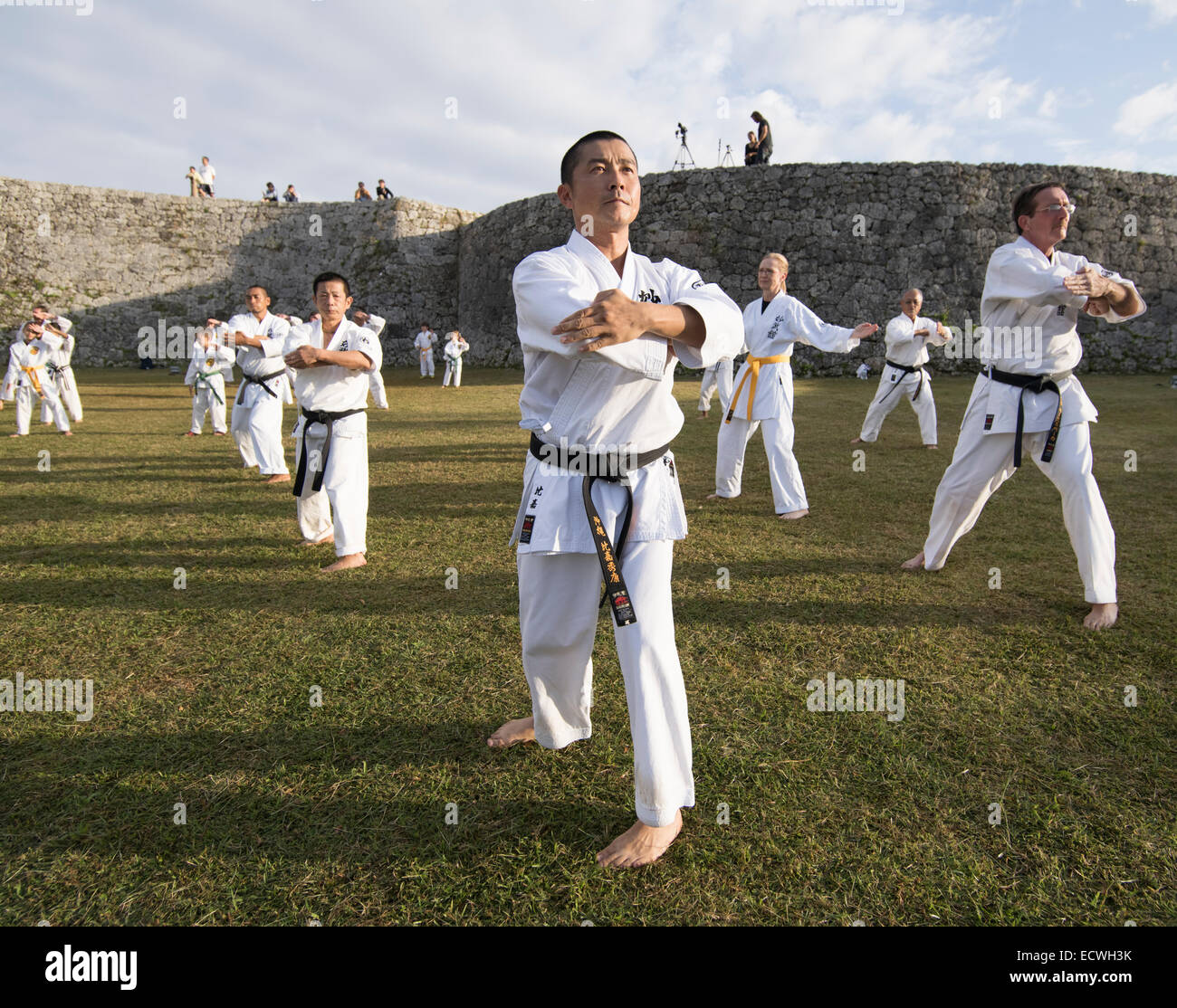 100 Kata per il Karate giorno 2014 al Castello Zakimi Sito Patrimonio Mondiale, Okinawa, in Giappone Foto Stock