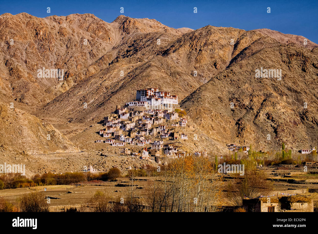 Chmede monastero, Ladakh Leh, India del Nord Foto Stock