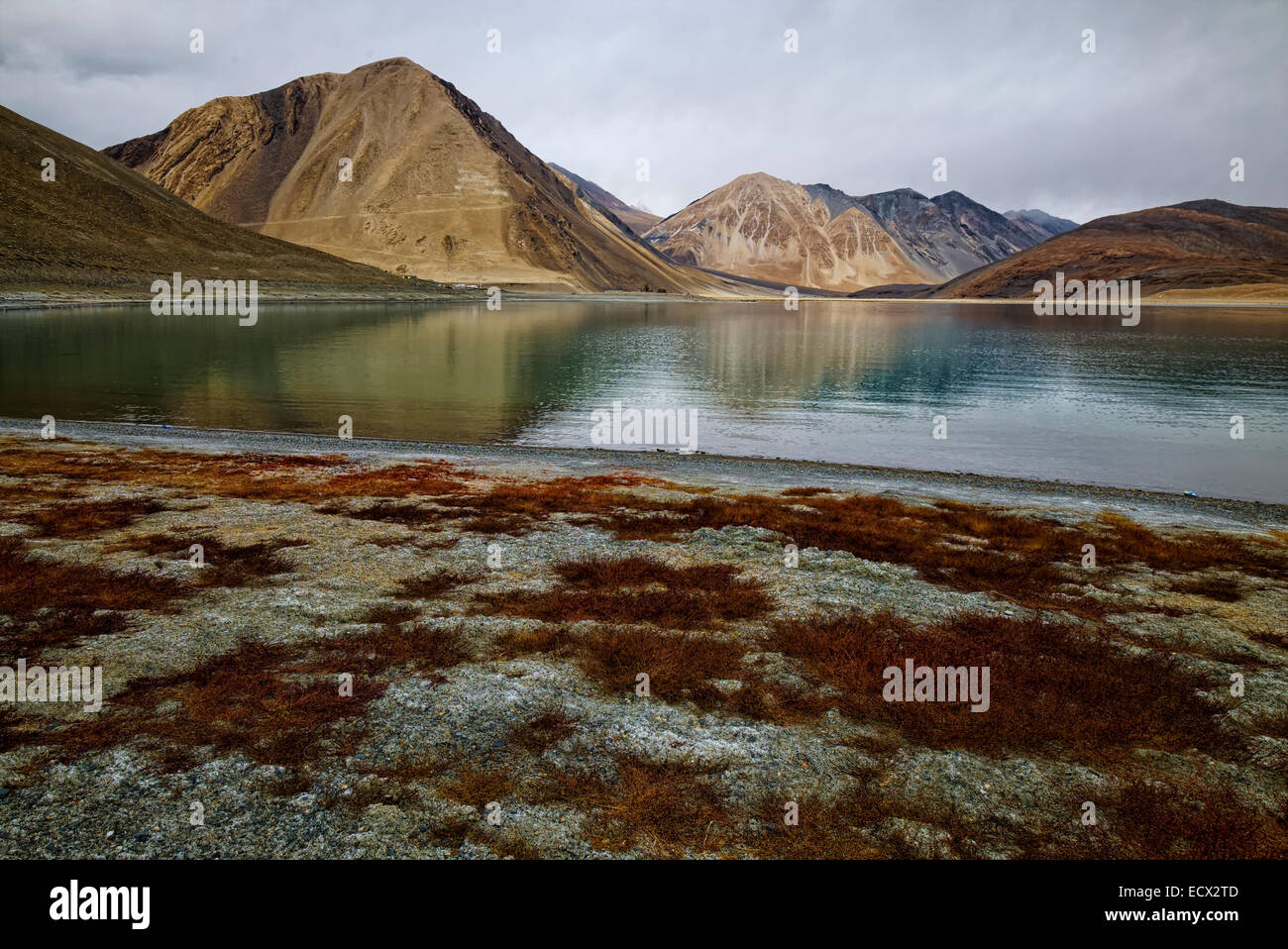 Pangong Tso, Ladakh Leh, Jammu Kashmir India Foto Stock