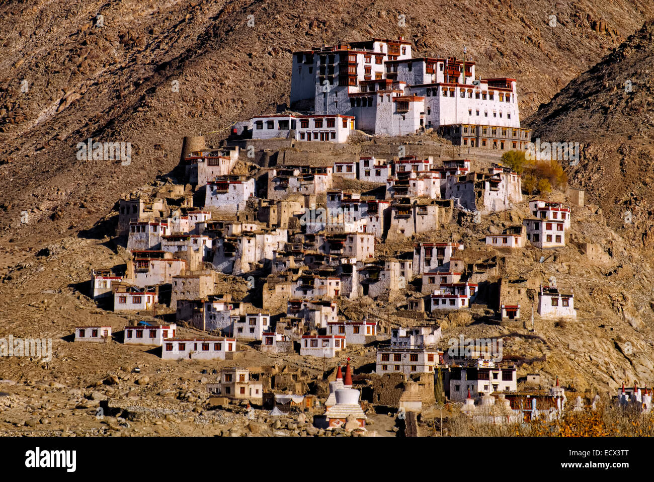 La vista del monastero Chemde, Ladakh Leh, India del Nord Foto Stock