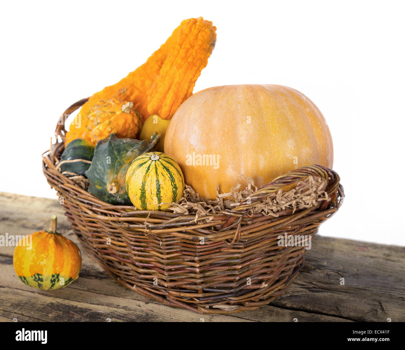 Raccolto di zucca autunno autunno alimento stagionale su legno Foto Stock