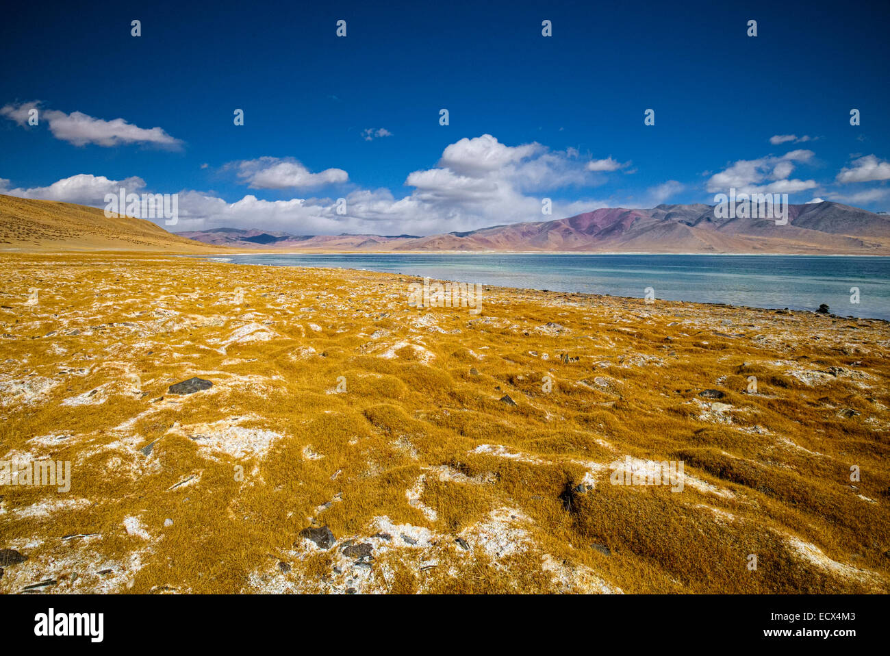 Presa @Tso Kar, Ladakh Leh, Jammu Kashmir India Foto Stock