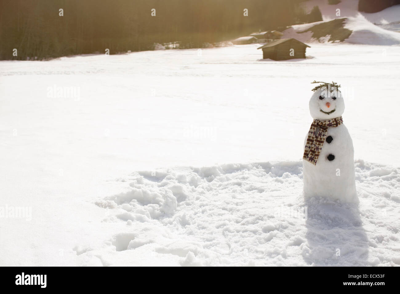 Pupazzo di neve nel campo soleggiato Foto Stock