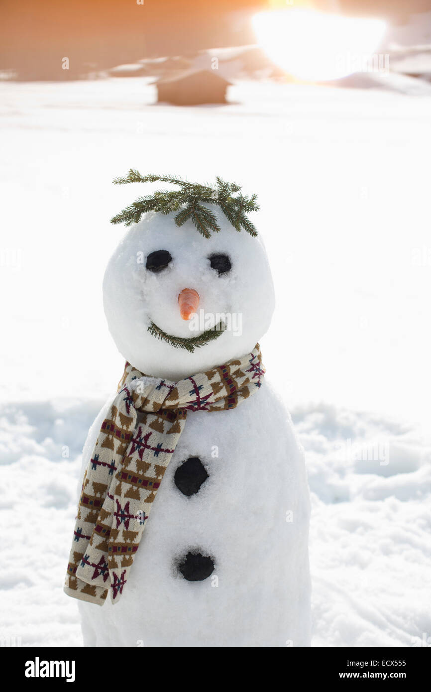 Pupazzo di neve nel campo soleggiato Foto Stock