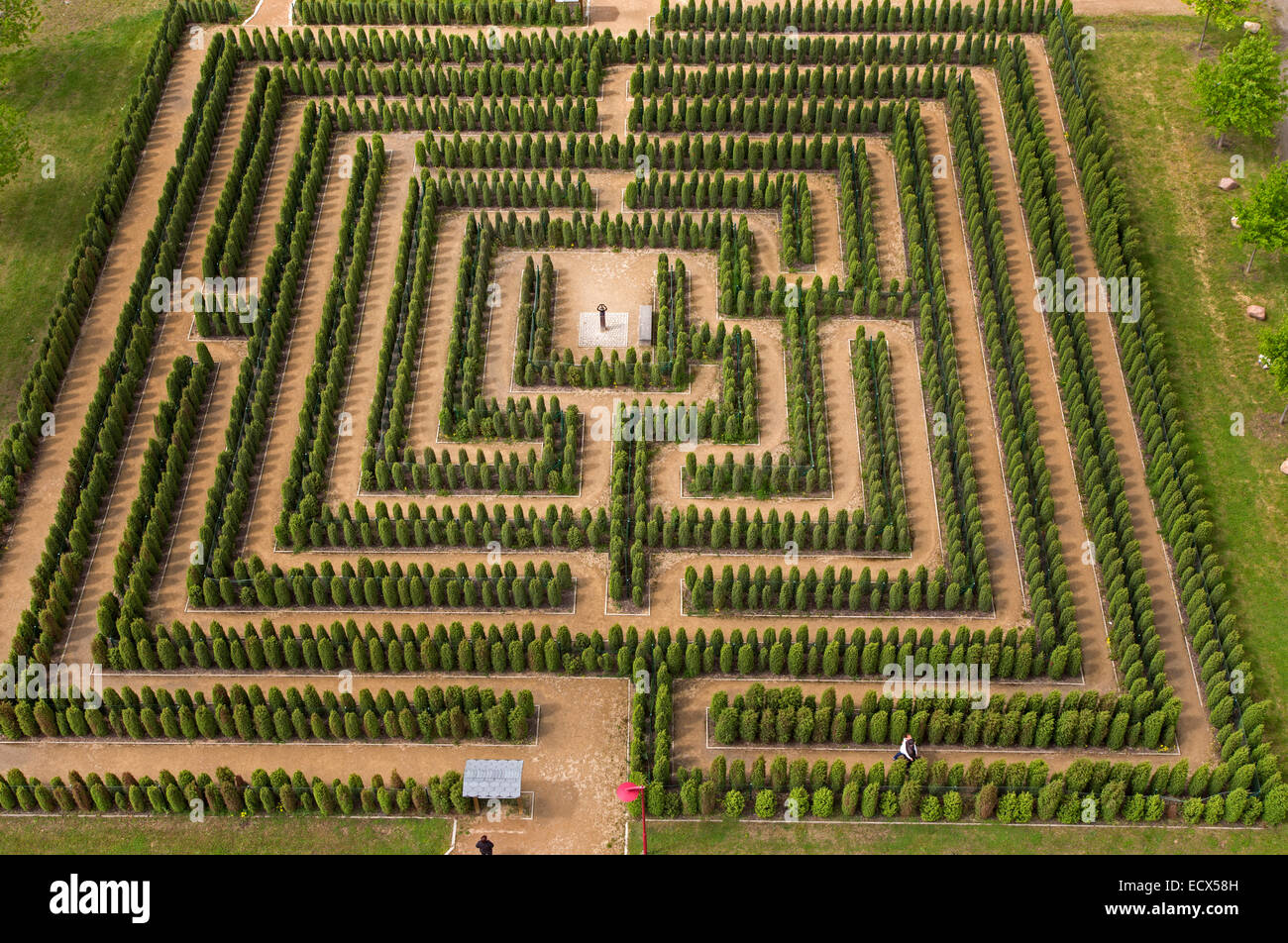 Il labirinto, Brandeburgo, Germania, Europa Foto Stock