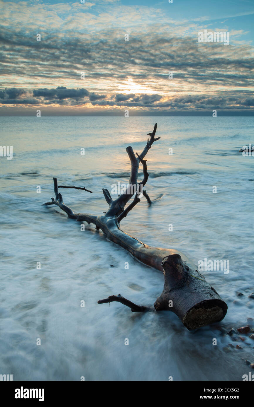 Autunno alba sulla costa baltica a Gdynia, Polonia. Foto Stock