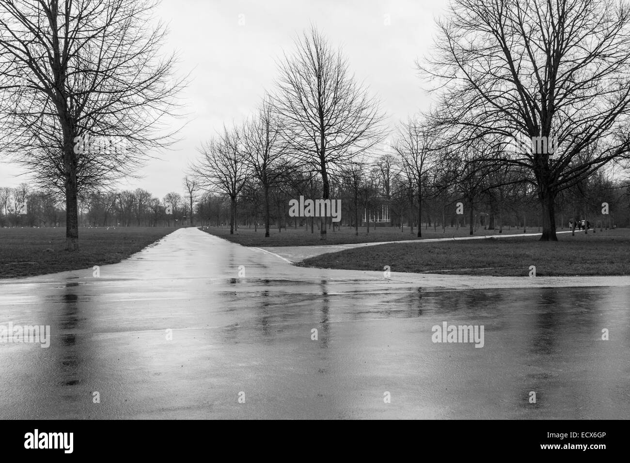 Piovoso inverno in giardini di Kensington, London, Regno Unito Foto Stock