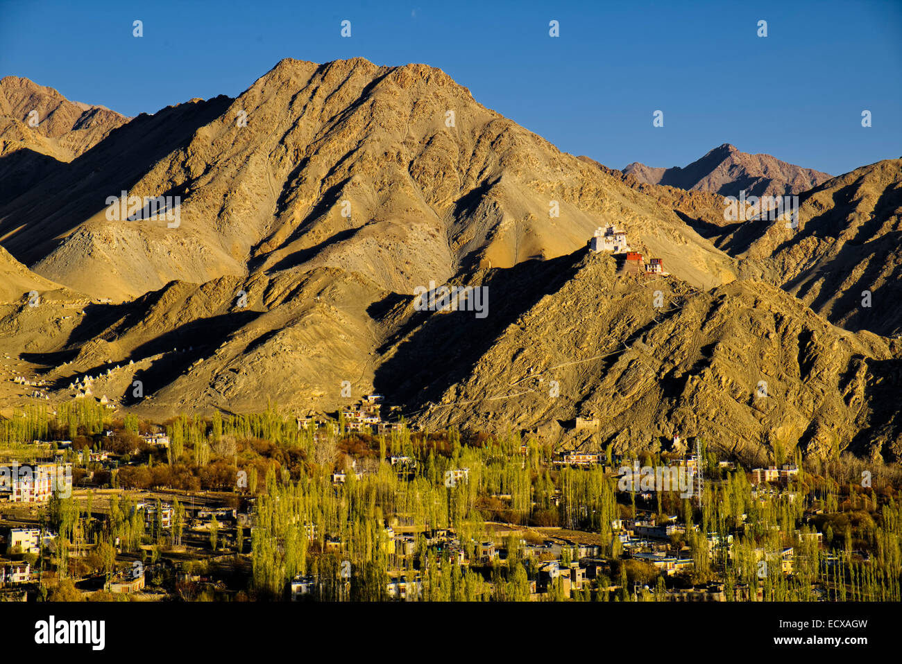 La città di Leh, Ladakh India del Nord Foto Stock