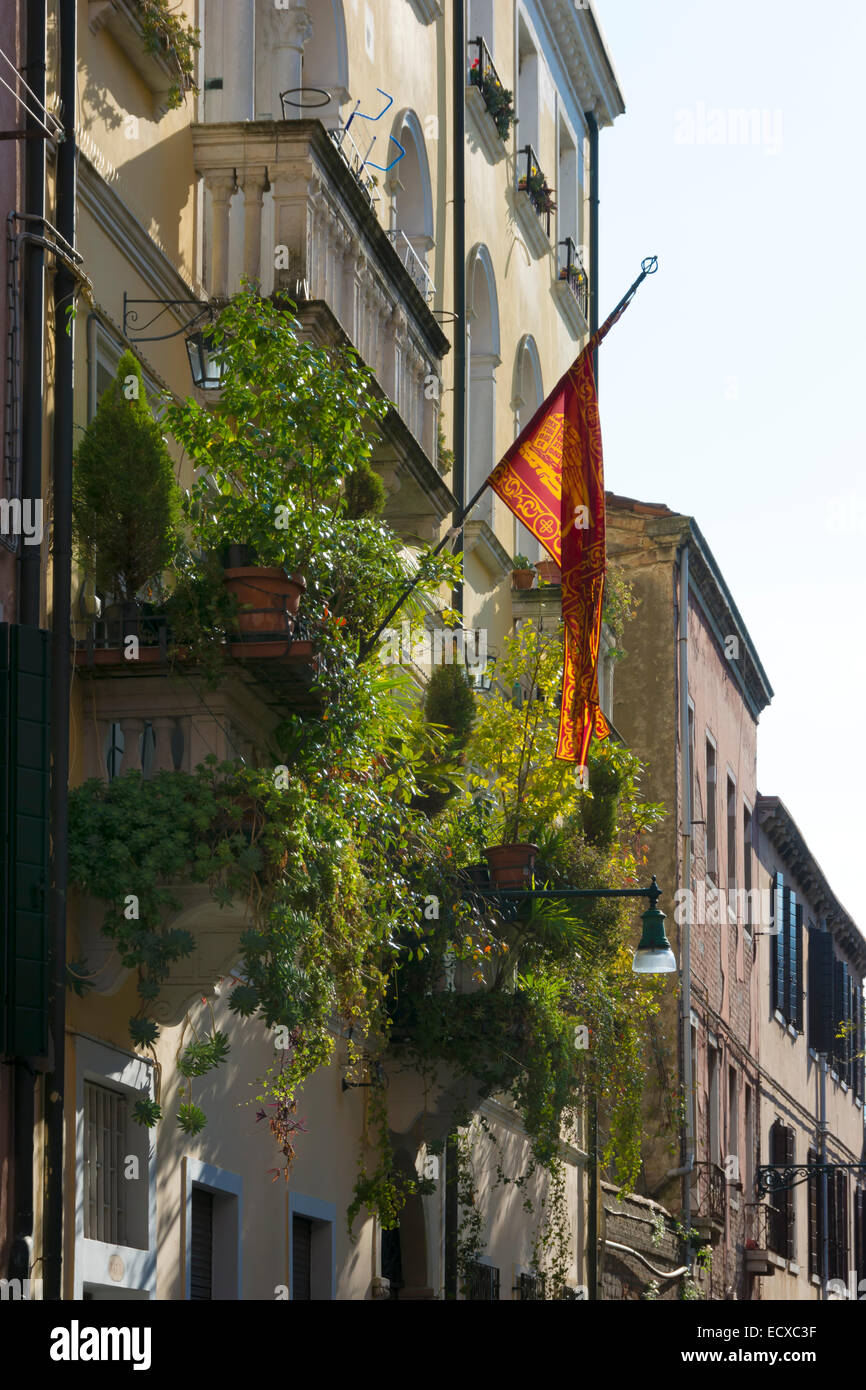 Bandiera e fogliame in Venezia Foto Stock