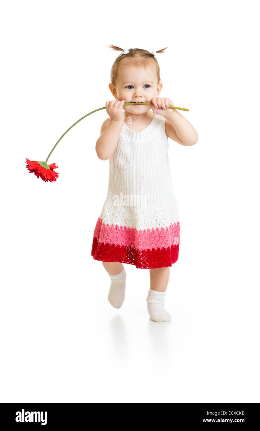 Adorable baby ragazza camminare con fiore in bocca isolato Foto Stock