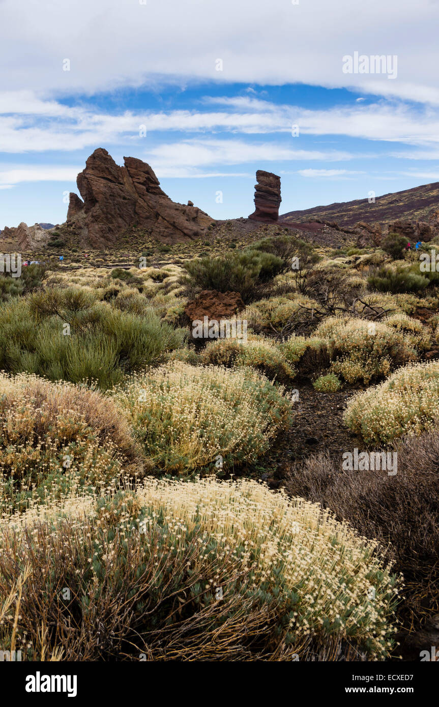 Tenerife - Mount Teide. Il parco nazionale, paesaggio vulcanico. Foto Stock