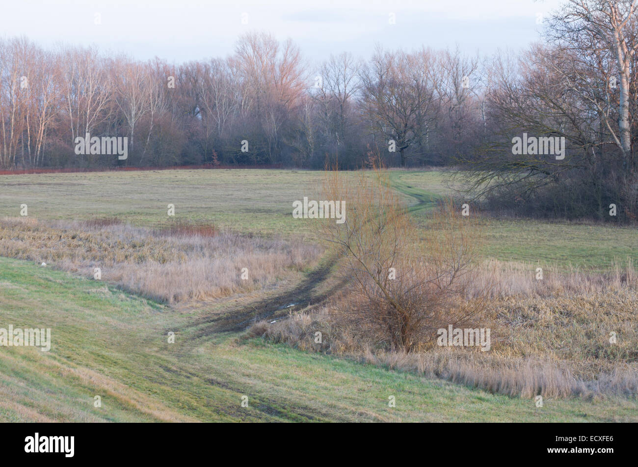 Auto fangoso le tracce in Floodplain nel paesaggio invernale Foto Stock