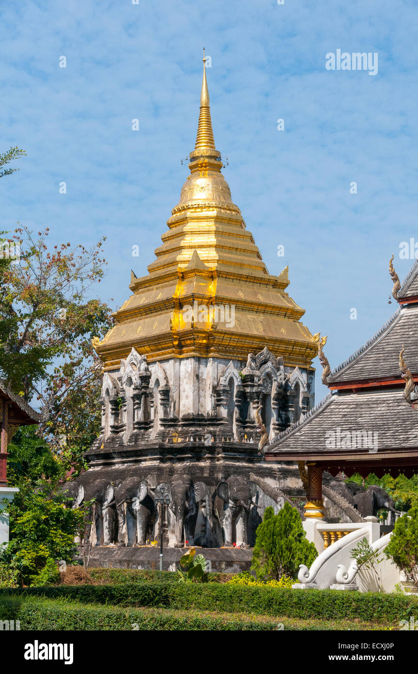 A nord della Thailandia: Chiang Mai La città dei templi, in quanto ospita più di 300 templi buddisti. Questo è il tempio dell'Elefante Foto Stock