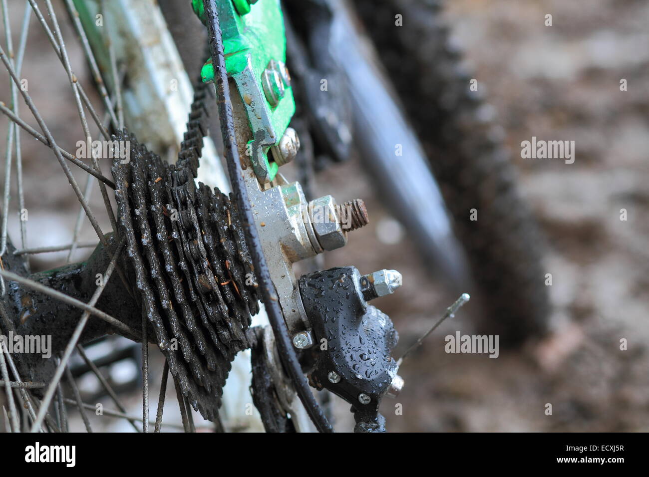 Un vicino la foto di una mountain bike della catena e il mozzo nel fango e pioggia Foto Stock