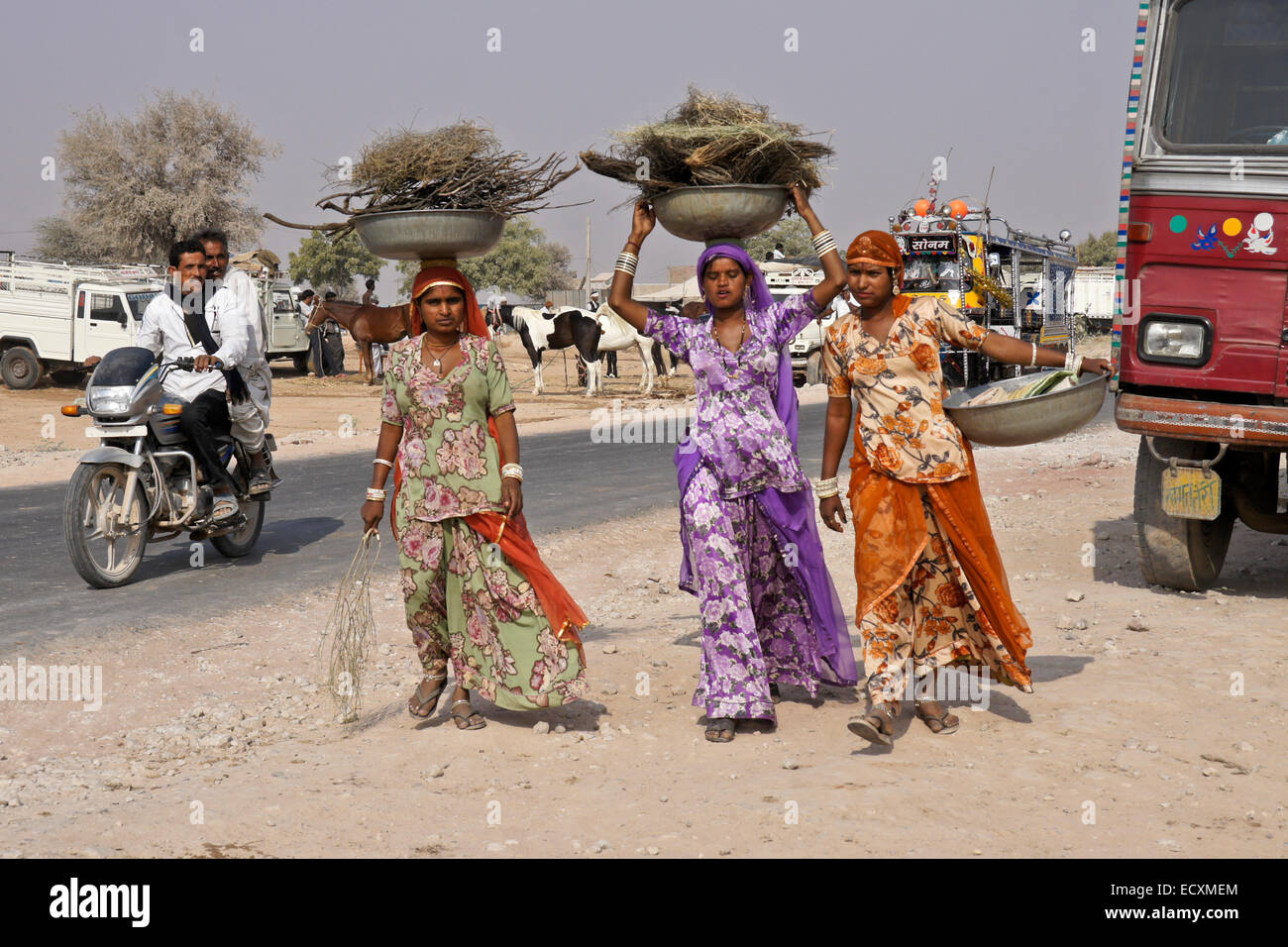 Le donne che trasportano il carburante per fuochi, Nagaur Fair, Rajasthan, India Foto Stock