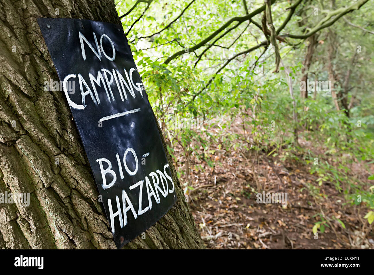 Nessun campeggio bio pericoli segno di avvertimento su albero di boschi, Usk Valley, Wales, Regno Unito Foto Stock