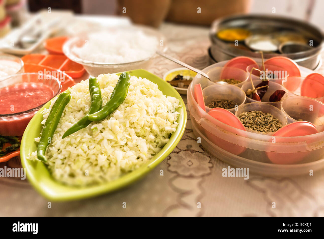 Il Kerala, India - Cochin. Classe di Cucina nella città di Cochin con famiglia privata, rendendo appartamenti keralesi pesce al curry con i lati. Foto Stock