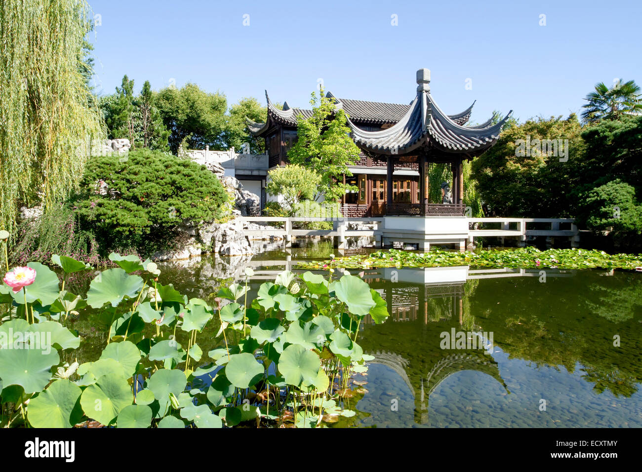 Lan su giardino cinese Portland Oregon Foto Stock