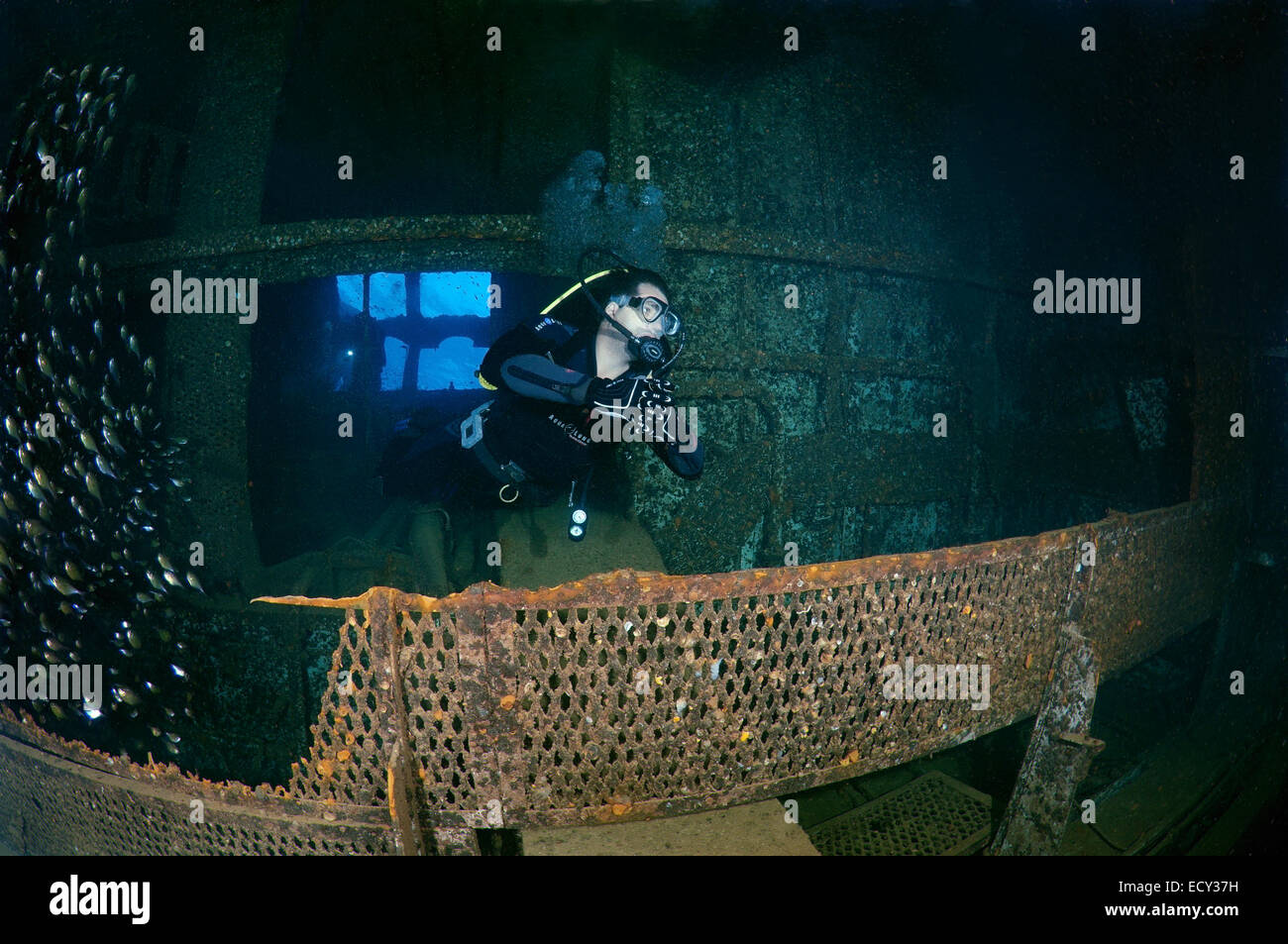 Sommozzatore guardando il motore camera Gianis wreckship D. Mare Rosso, Sharm El Sheikh, Egitto Foto Stock