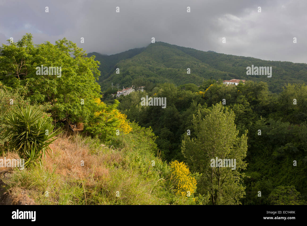 Case arroccato sulle pendici del Vesuvio, visto in lontananza la cui ultima eruzione risale al 1944. Foto Stock