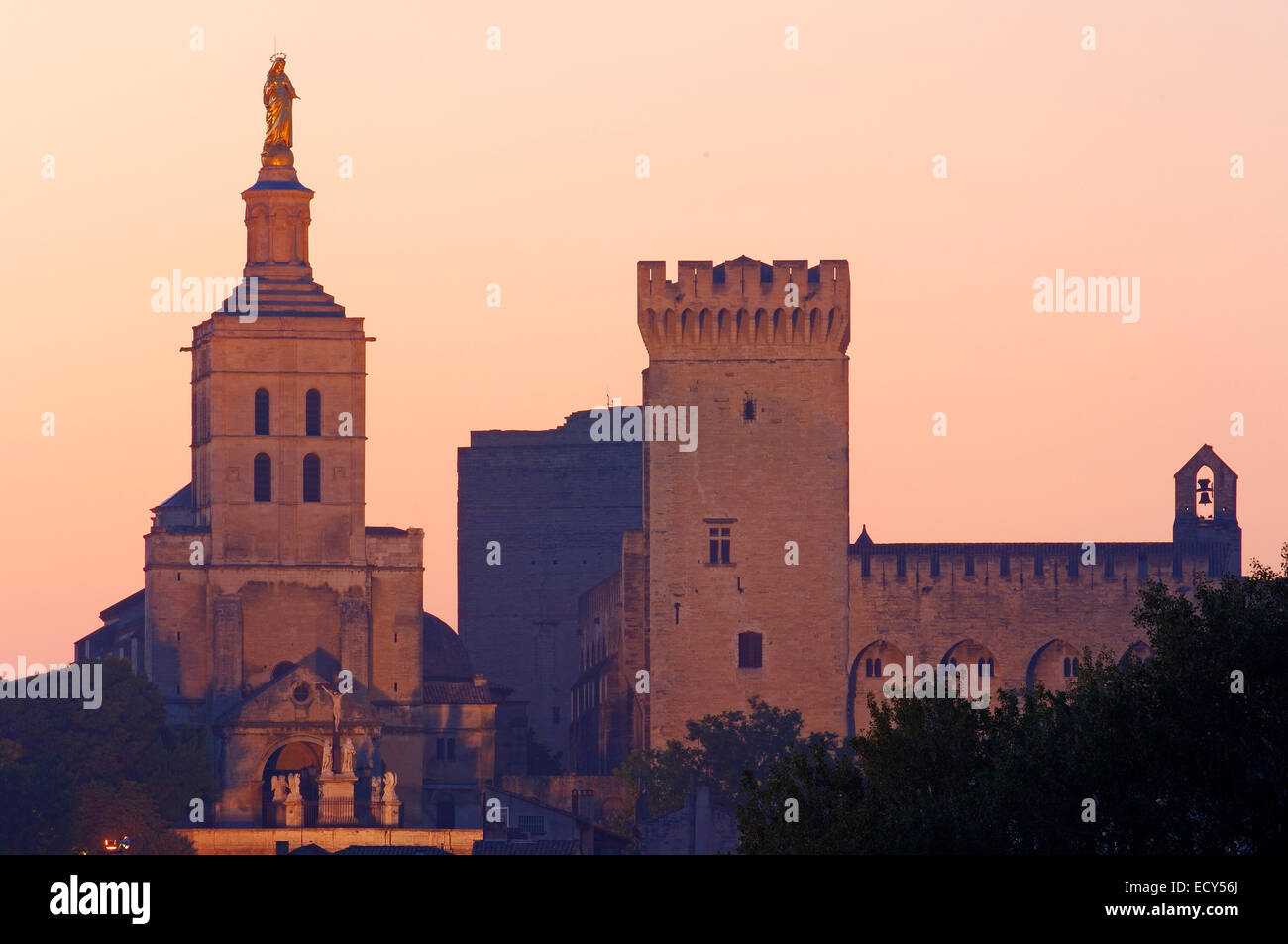 Palazzo Papale, Palais des Papes e la Cattedrale di Notre Dame des Doms cattedrale, Avignon Vaucluse, Provence-Alpes-Côte d'Azur, la valle del Rodano Foto Stock