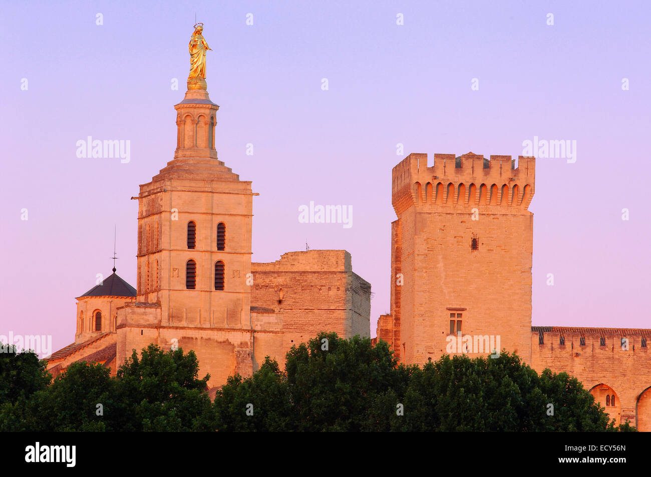 Palazzo Papale, Palais des Papes e la Cattedrale di Notre Dame des Doms cattedrale, Avignon Vaucluse, Provence-Alpes-Côte d'Azur, la valle del Rodano Foto Stock