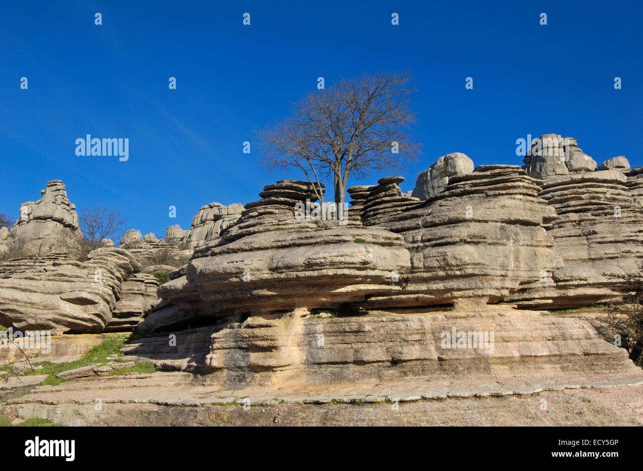 Lavoro di erosione su Jurassic calcari, Torcal de Antequera, provincia di Malaga, Andalusia, Spagna, Europa Foto Stock