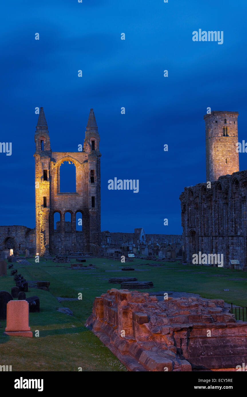 Le Rovine di San regola della chiesa cattedrale e al crepuscolo, St Andrews, Regione Fife, Scozia, Regno Unito, Europa Foto Stock
