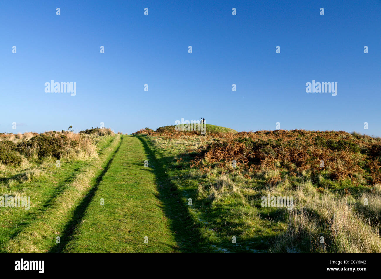 Via sul Garth montagna sopra Taffs bene, South Wales, valli, UK. Foto Stock