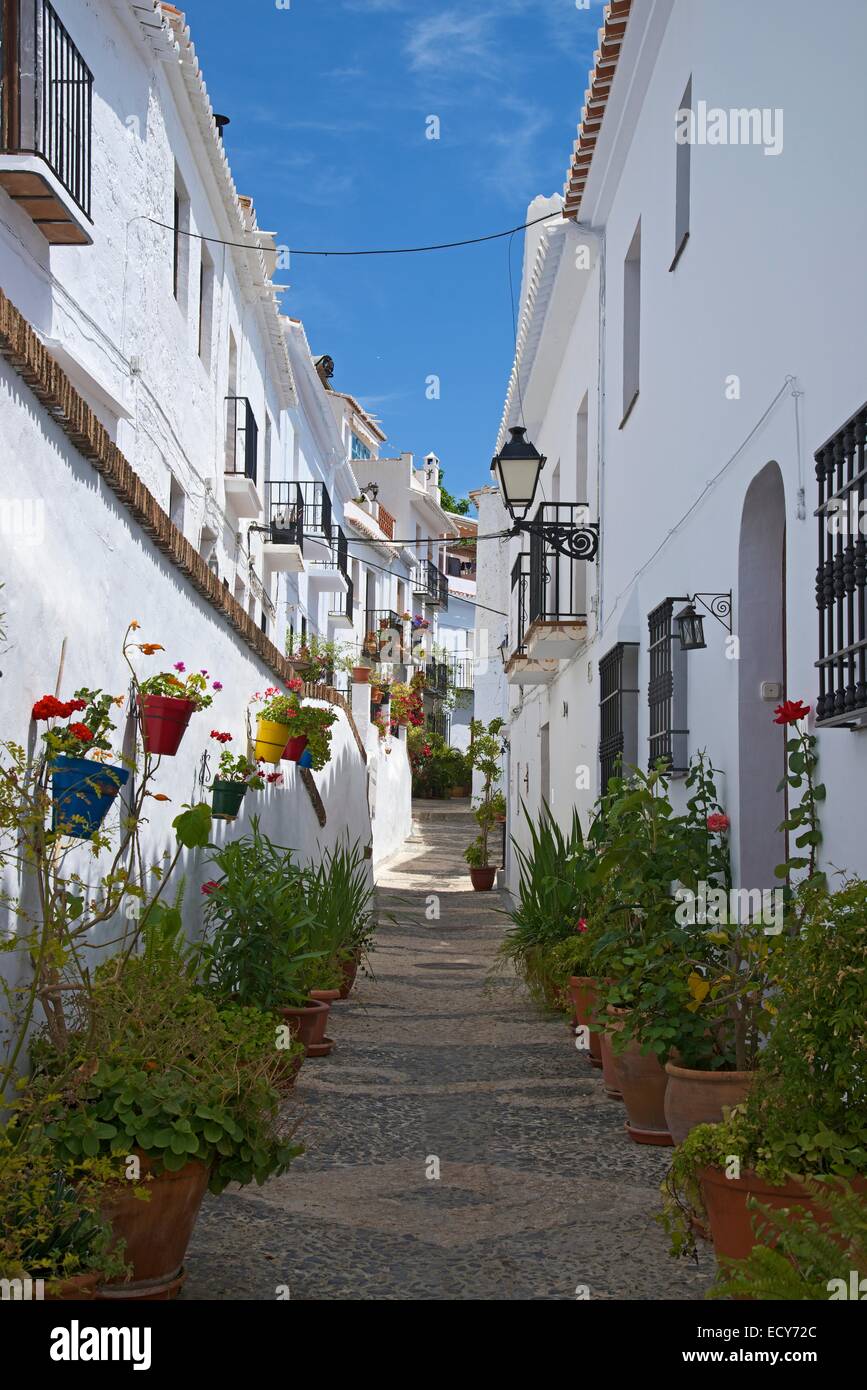 Alley con vasi di piante, villaggi bianchi, Frigiliana, Costa del Sol, Andalusia, Spagna Foto Stock