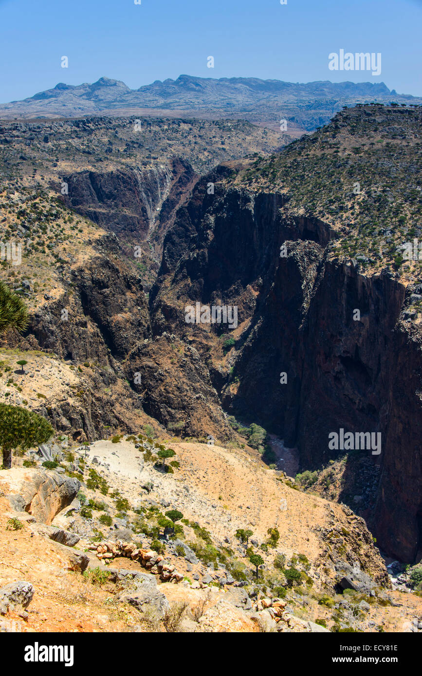 Grande canyon presso l'altopiano di Dixsam, Socotra, Yemen Foto Stock