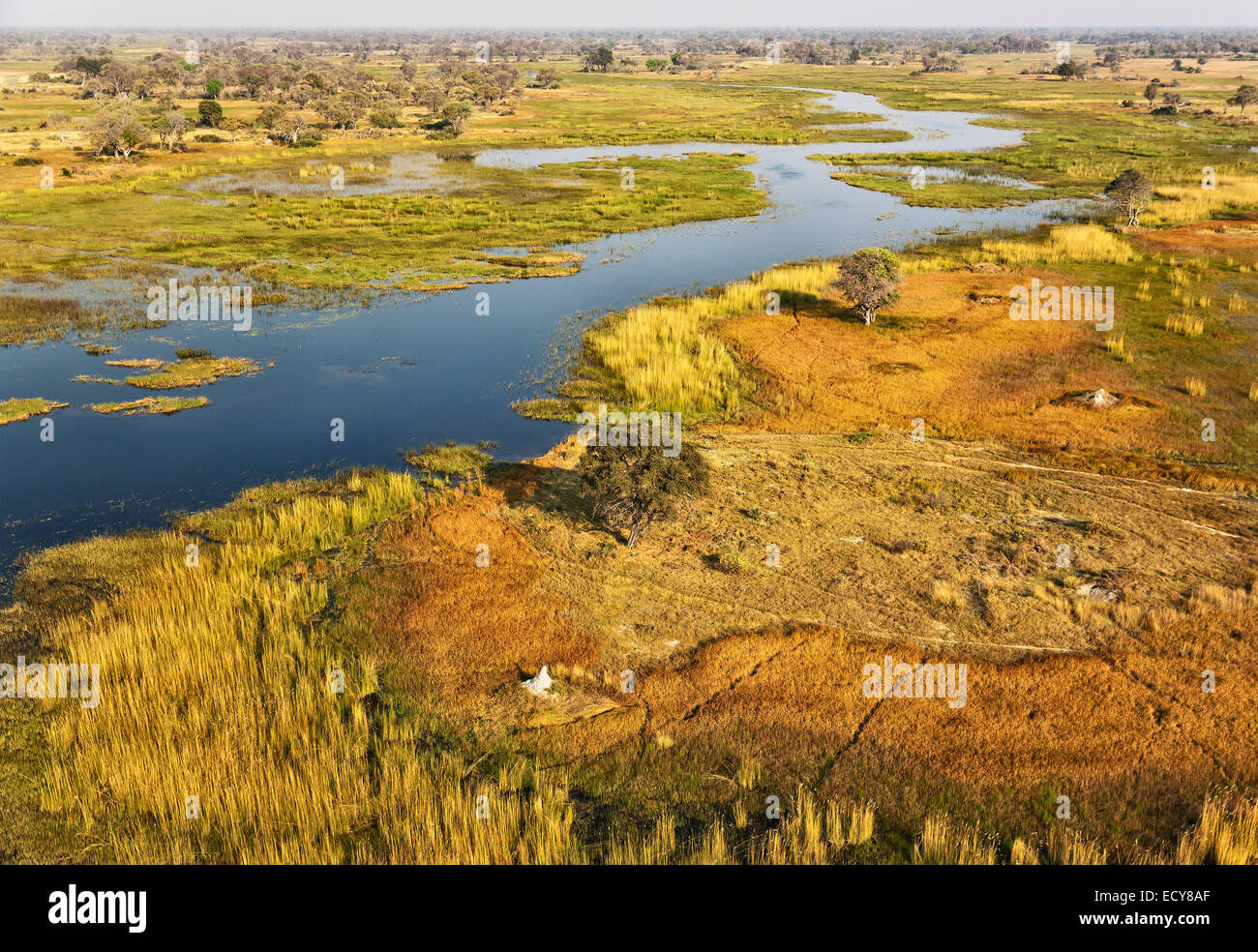 Il fiume Gomoti con l attiguo paludi di acqua dolce, vista aerea, Okavango Delta, Botswana Foto Stock