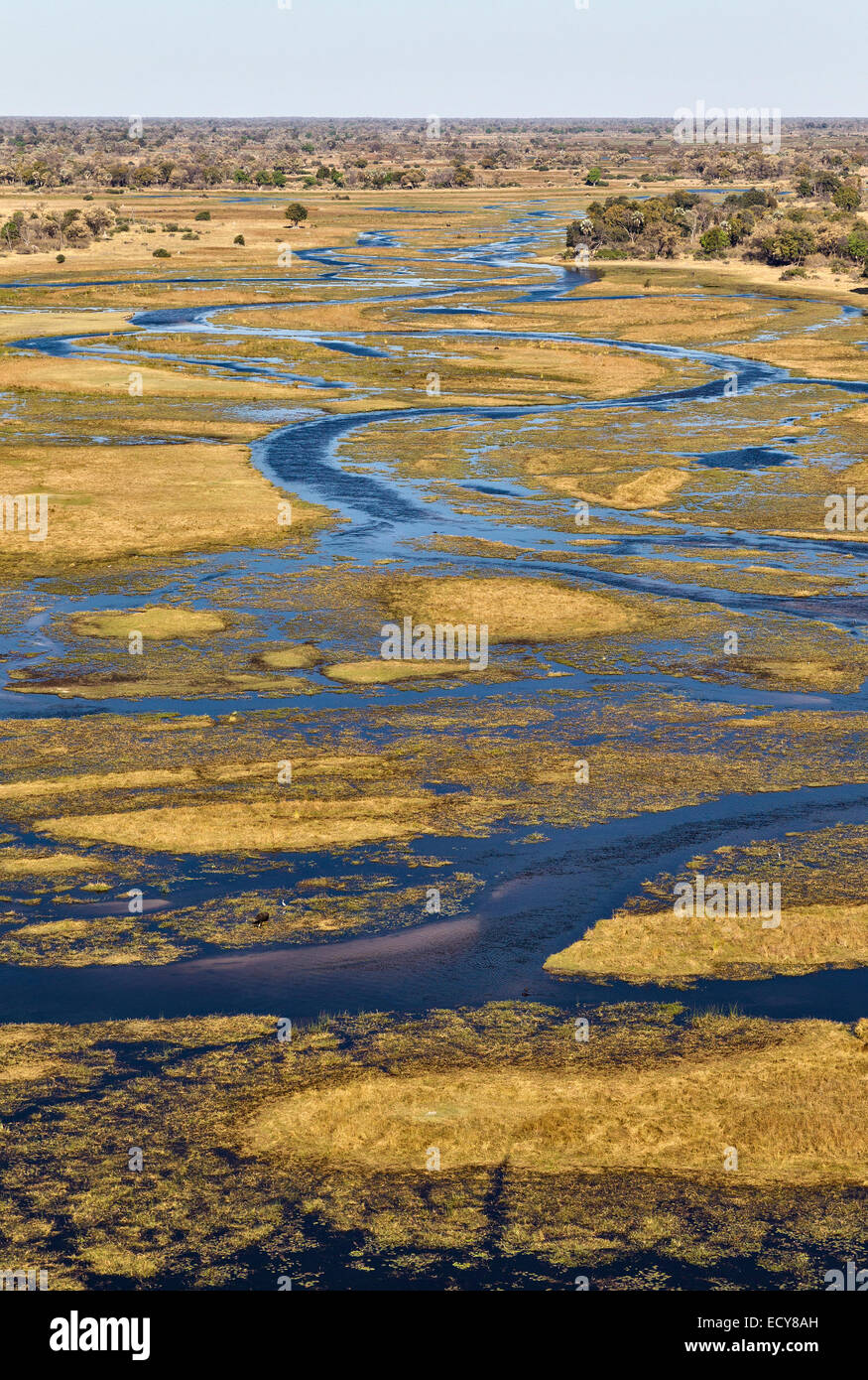 Il fiume Gomoti con i suoi canali e delle isole adiacenti paludi di acqua dolce, vista aerea, Okavango Delta, Botswana Foto Stock