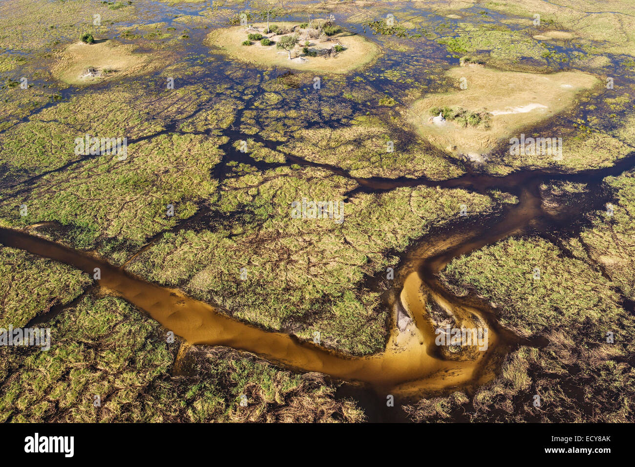 Tipico paesaggio di paludi d'acqua dolce con flussi di sabbia, i canali e le isole, vista aerea, Okavango Delta, Botswana Foto Stock