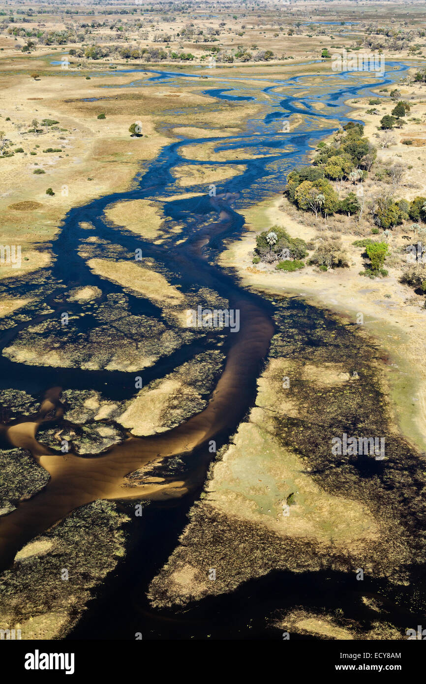 Il fiume Gomoti con i suoi canali, isole, barene e attigua palude d'acqua dolce, vista aerea, Okavango Delta, Botswana Foto Stock