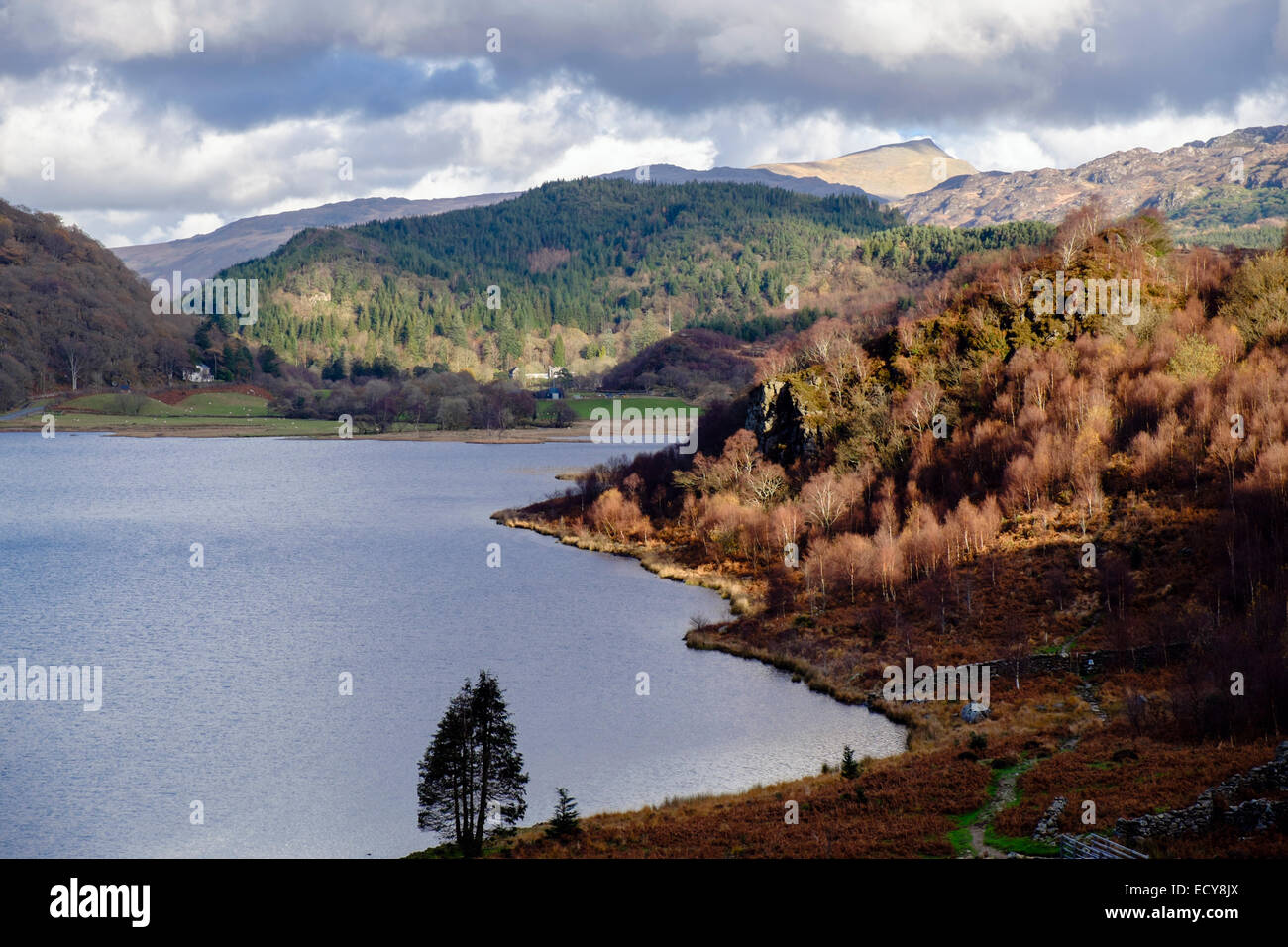 Vista di Llyn Dinas lago nella valle Nantgwynant in autunno. Beddgelert, Gwynedd, Snowdonia National Park (Eryri), il Galles del Nord, Regno Unito, Gran Bretagna Foto Stock