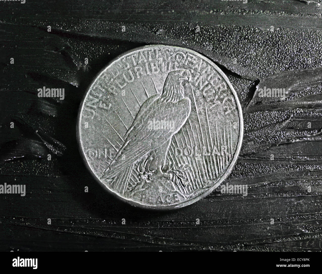 1925 Noi 'pace' dollar Foto Stock