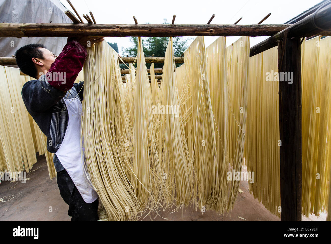 A base di noodle cinesi maker noodle appesi ad asciugare, nella provincia di Sichuan, in Cina Foto Stock