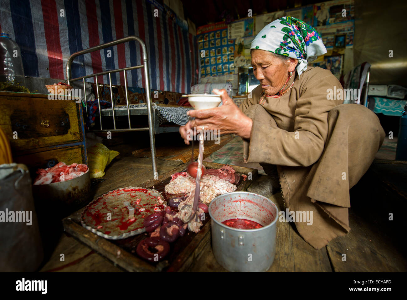 Un nomade donna memorizzare le budella, Mongolia Foto Stock
