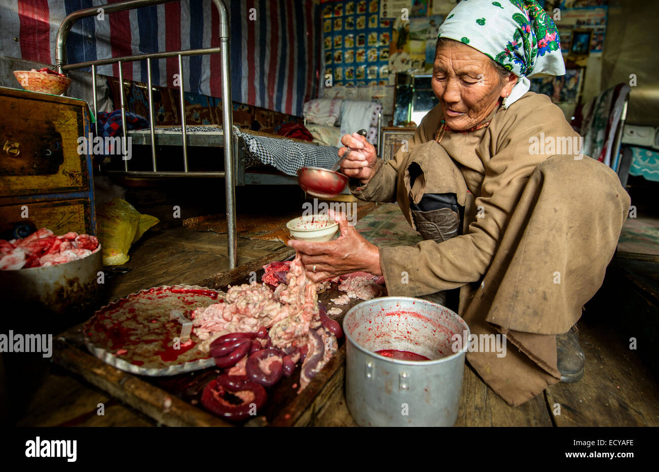 Un nomade donna memorizzare le budella, Mongolia Foto Stock