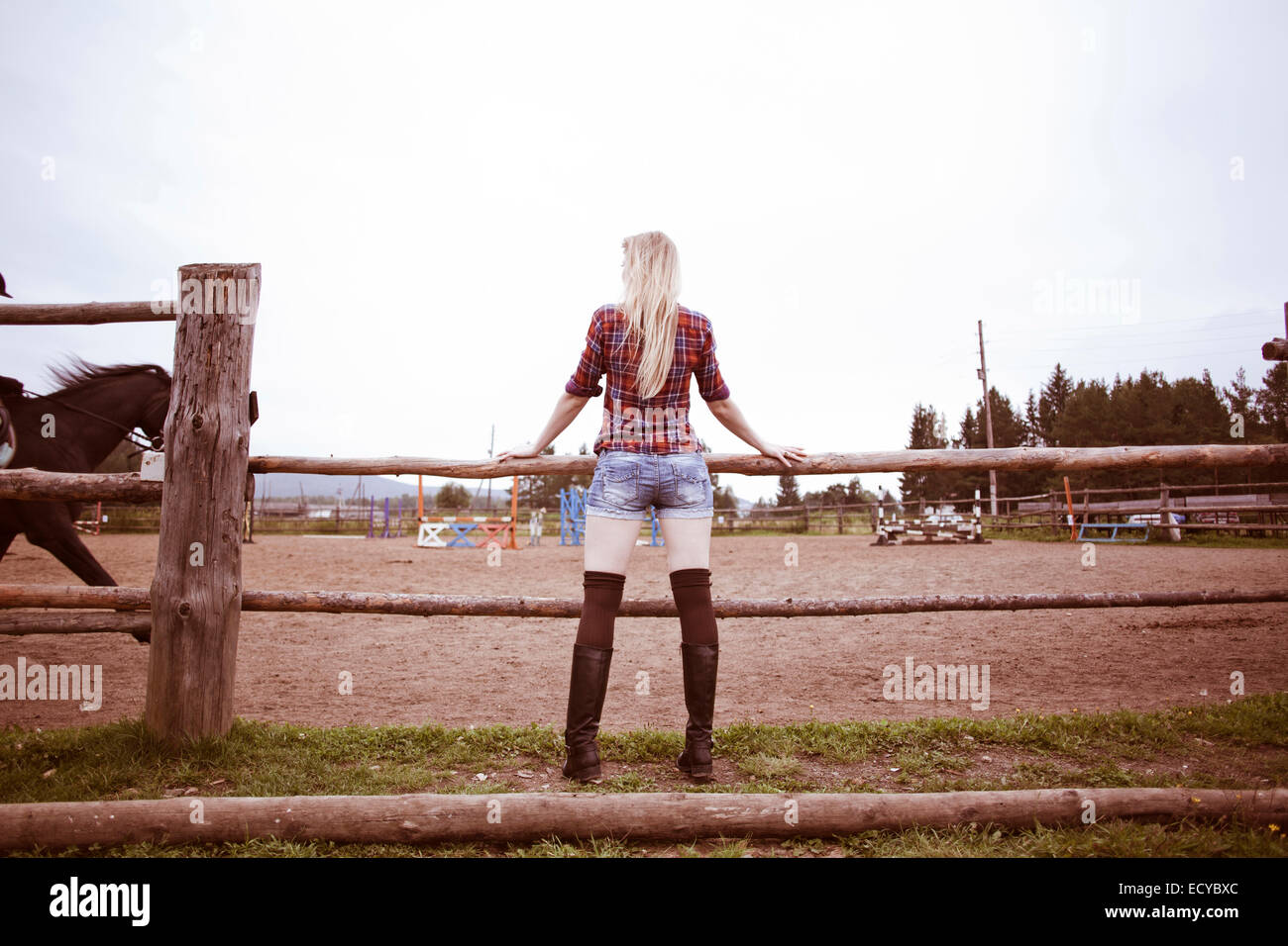 La donna caucasica guardando cavalli sul ranch Foto Stock