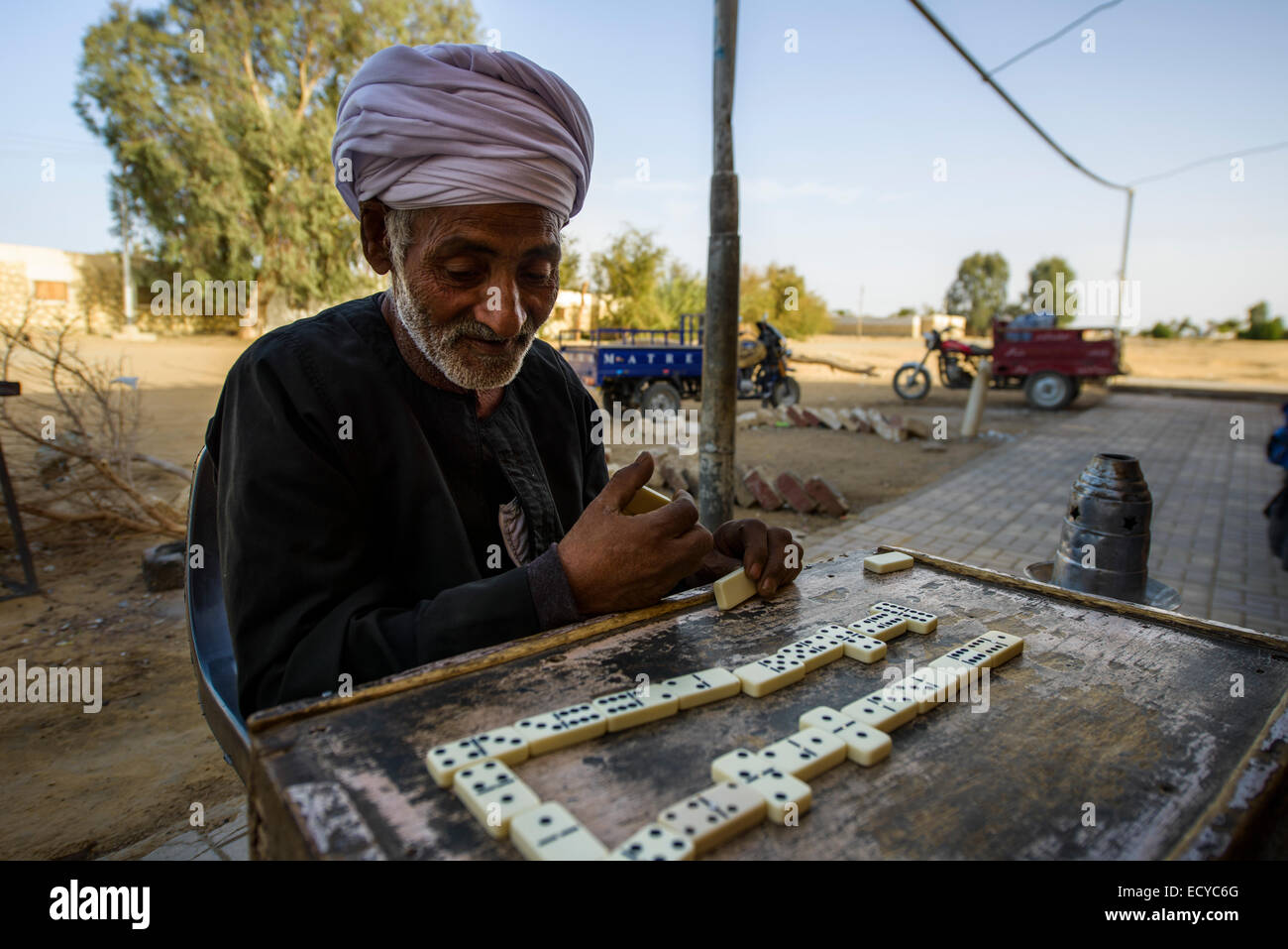 Männer spielen Domino in einer Oase, Ägypten Foto Stock