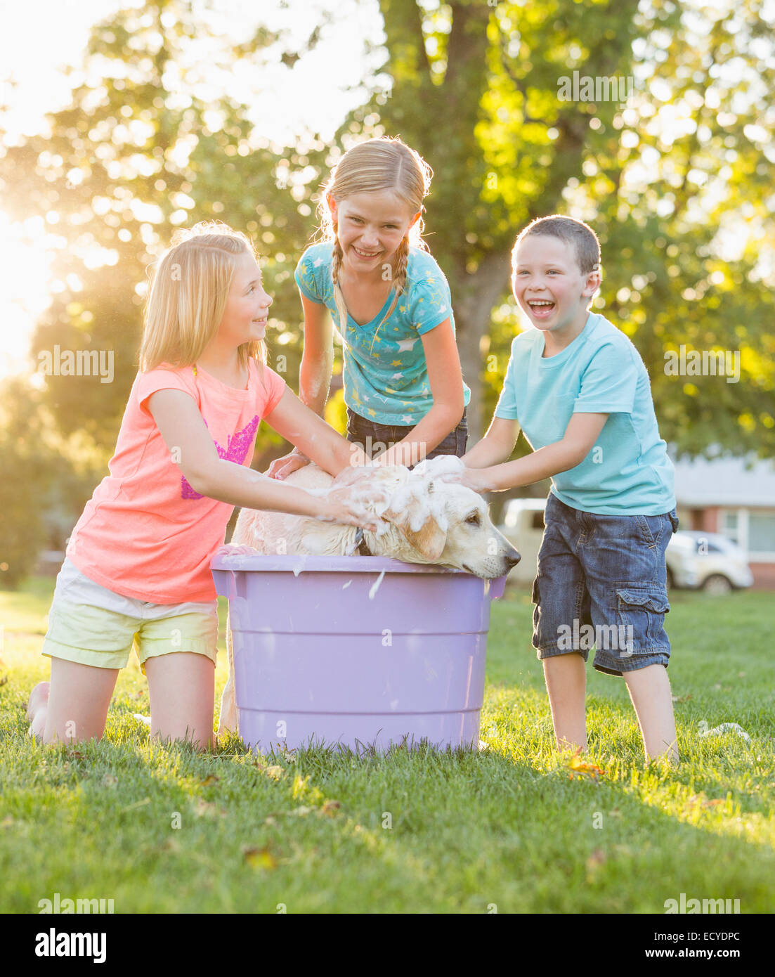 Bambini caucasici lavaggio cane in cortile Foto Stock