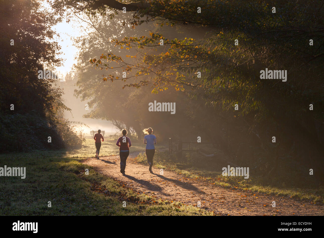 Per chi ama fare jogging sul percorso del vicario Brook, Cambridge, Regno Unito Foto Stock