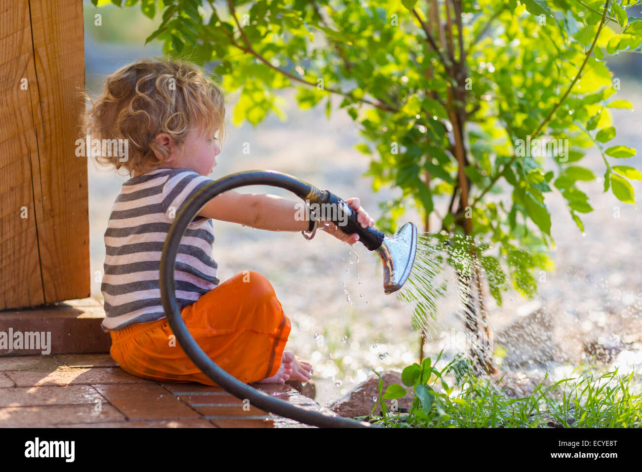 Caucasian baby boy impianti di irrigazione dal patio posteriore Foto Stock