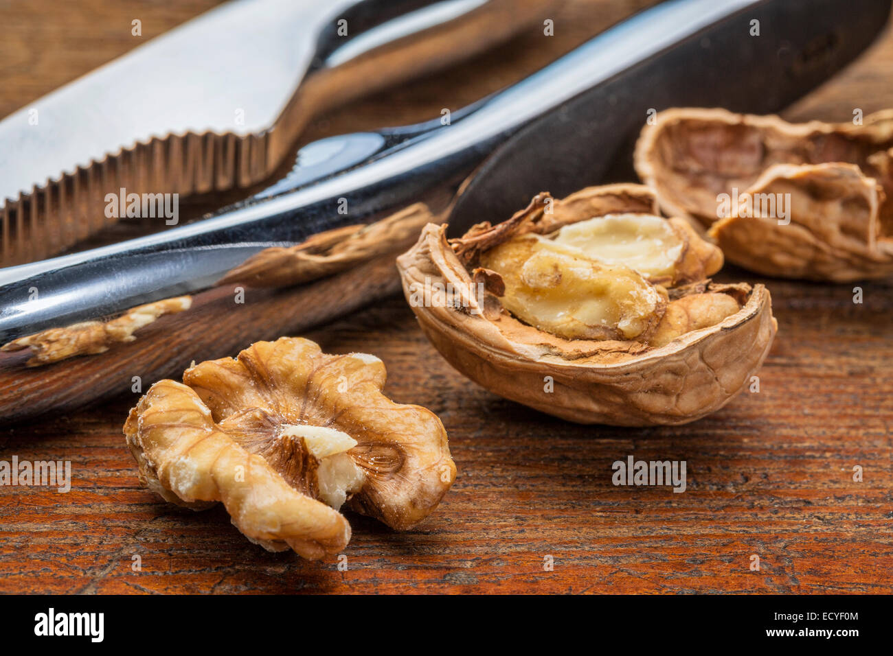 Inglese noci con schiaccianoci contro grunge Sfondo legno Foto Stock